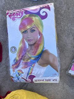 Rainbow Wig Costume