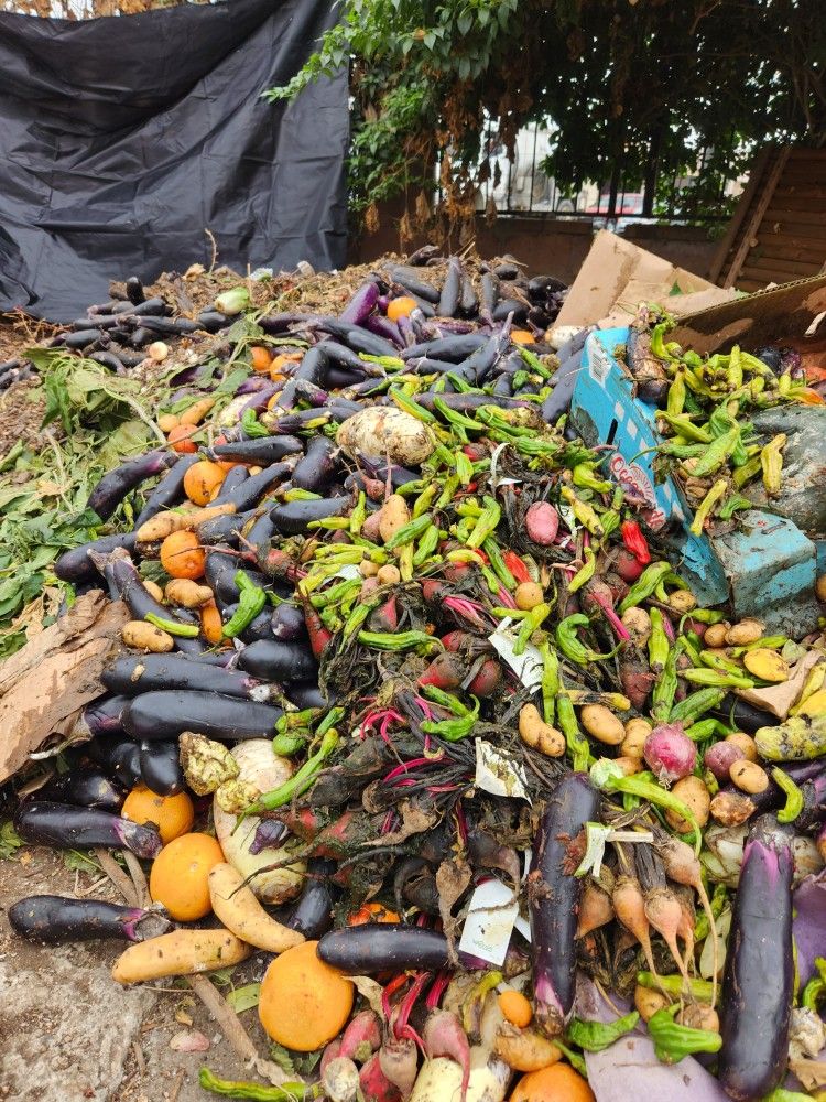 Food Waste Drop Off Recycling Center for Sale in Los Angeles, CA OfferUp