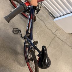 Schwinn Falcon 20" Unisex Bike