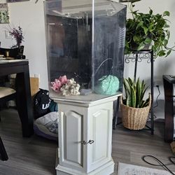 Unique Hexagon Aquarium With Matching Stand/Shelf, Filter, And Decorations 