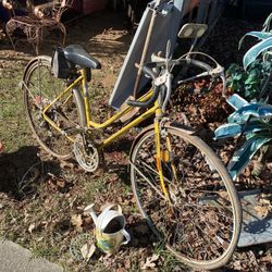 Vintage Bicycle $45 Each