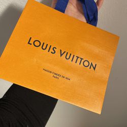 LOUIS VUITTON Small Gift Bag 