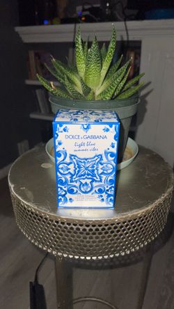 Dolce and Gabbana 3.4 FL OZ