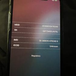 iPhone 11 Pro Max 256GB Unlocked 