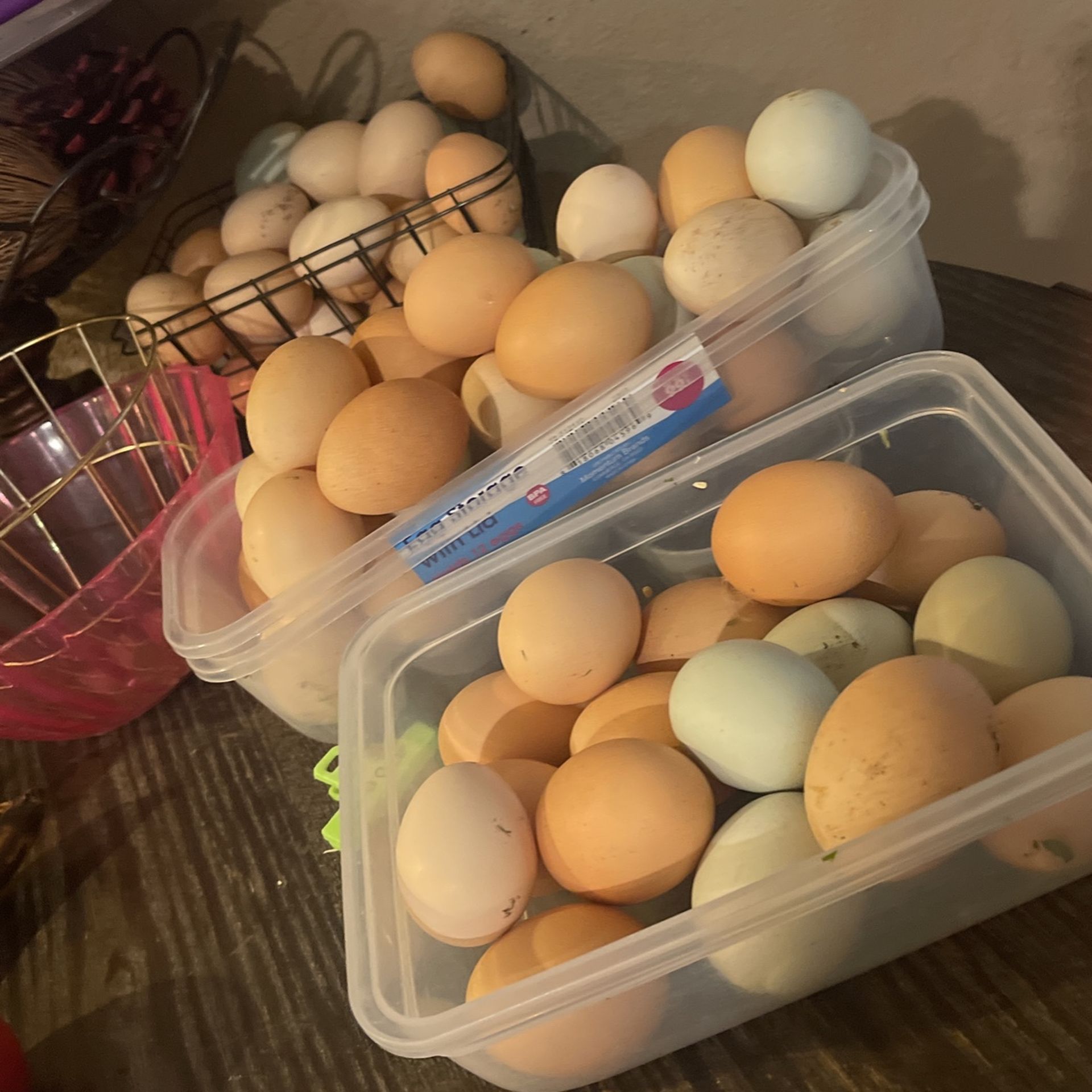 Huevos Orgánicos  5 La Dosena 