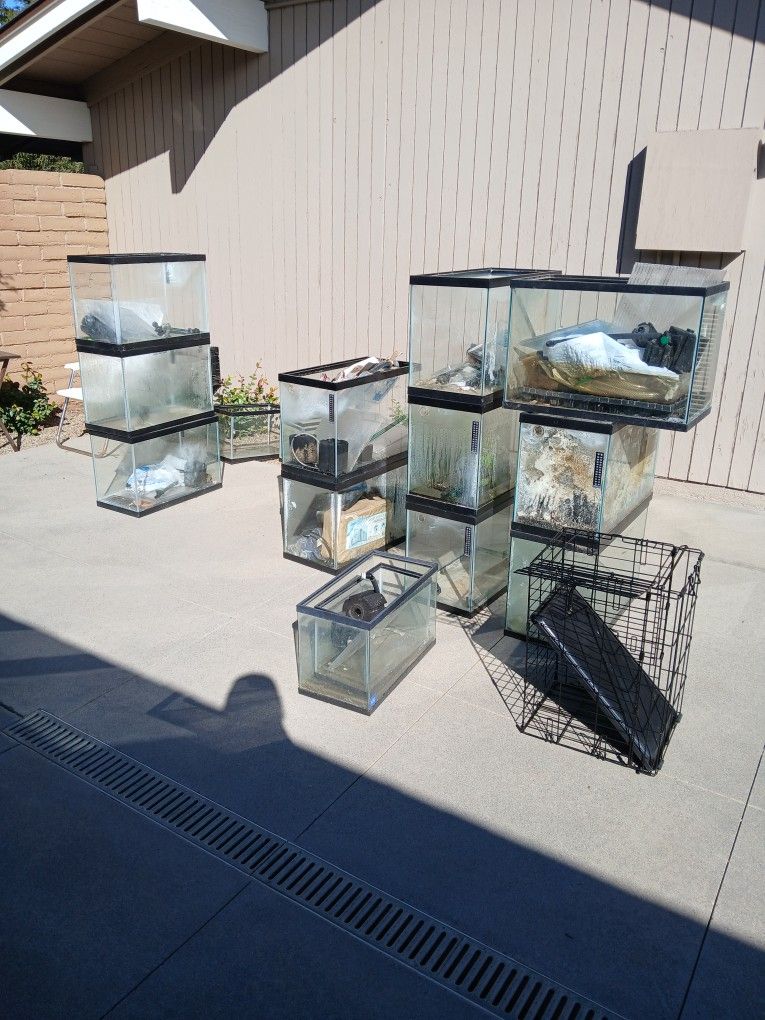 Fish Tank