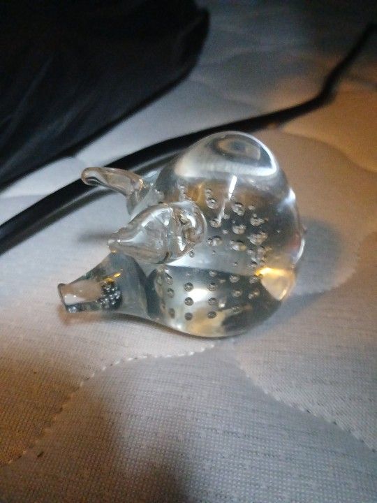 Glass Pig