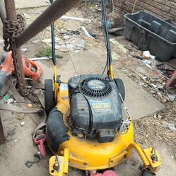 A Hundred Bucks It's A Cub Cadet This Needs