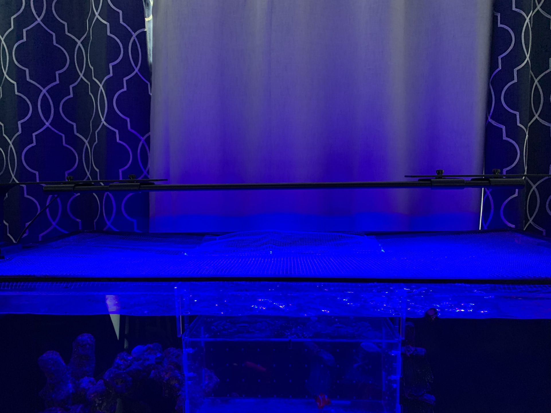 Current “Loop” Aquarium Light With Mounting Arms