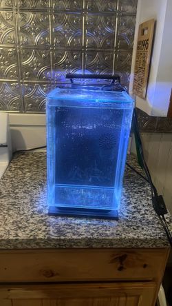 5 gallon tall fishtank
