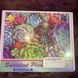  Succulent Plants Jigsaw Puzzles for Adults Kids 1000 Pieces