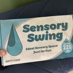 Sensory Swing