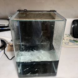 5 Gallon Thích Glass Fish Tank With Self Filter System, Stand For The Base, Heater