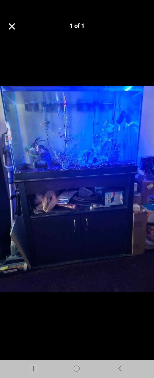 65 Gallon Aquarium With Stand