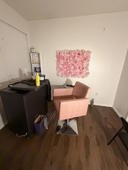 Pink Salon Chair