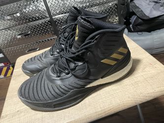 D Rose 8