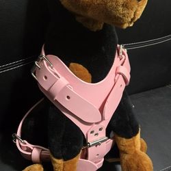 Dog Harness