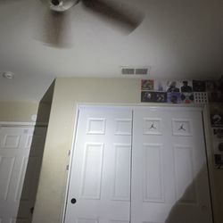 Umarex with beam and grip