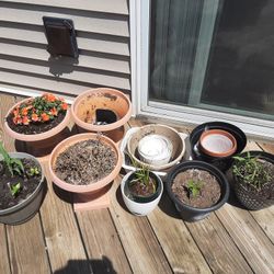 Pots For Sale: $2 Each