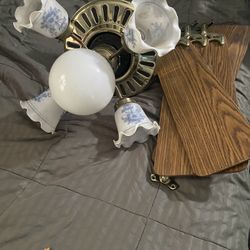 Ceiling Fan With Collectable Light Covers