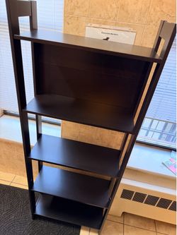 Shelf ladder