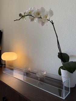 Long Glass Flower Vase