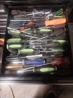 Lot of Philips, flat head, and torque screw drivers.