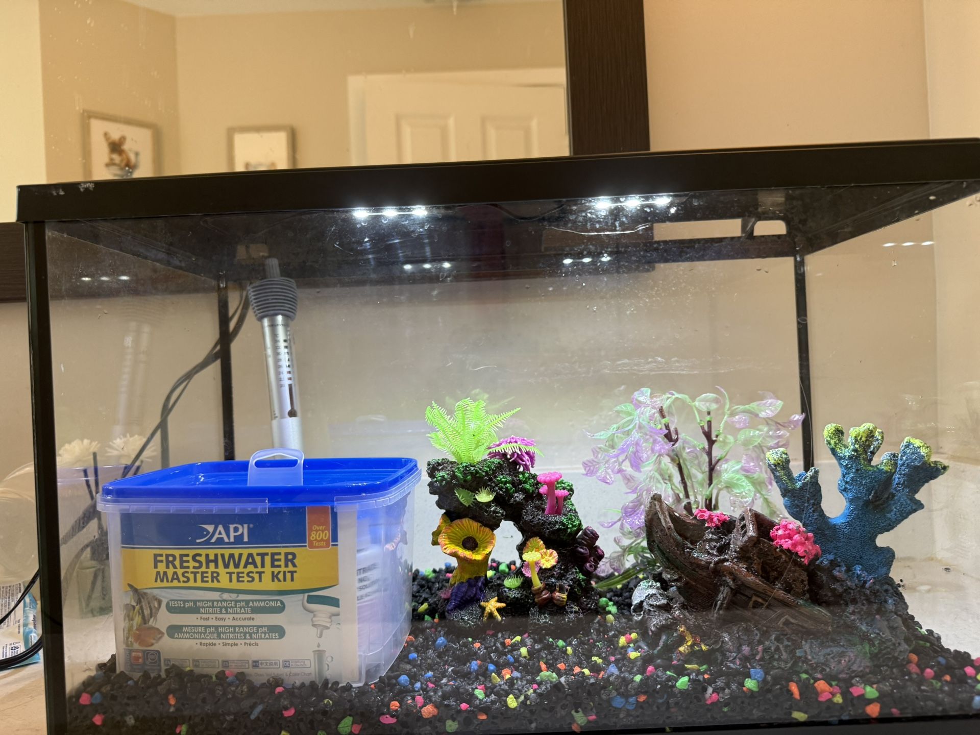 Fish Tank