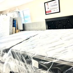 Bed Frames, Box Springs, Metal Frames, Mattresses **Sale*** Brand New
