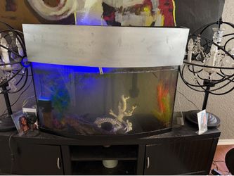 Fish tank