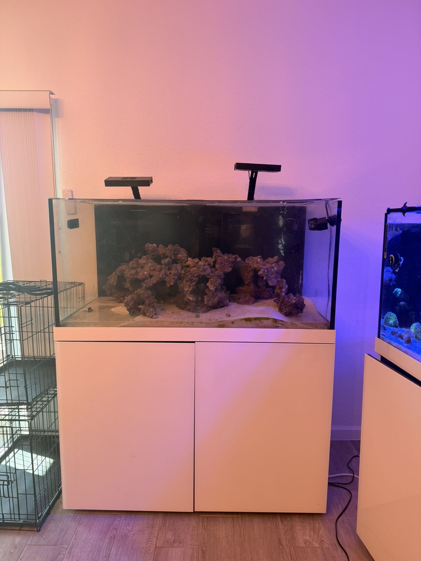 ProStar Rimless V2 150 Aquarium w/ WHITE Stand