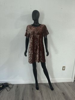 Sequence Velvet Dress
