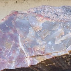 Petrified Wood Fossil  Gemstone Geode Crystal