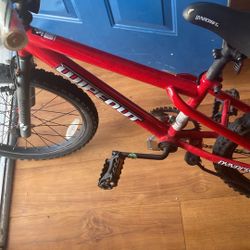 New Wipeout BMX Bike