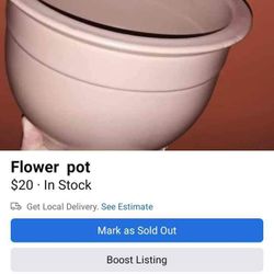 Flower Pot 