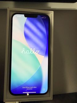 iPhone 13 Pro Max