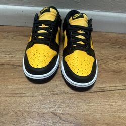 Dunks Size 11