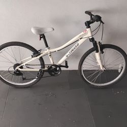 BICYCLE SPECIALIZED 7 SPEED SIZE 24 BRAND NEW 
