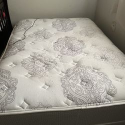 Bed Mattress And Box Spring 
