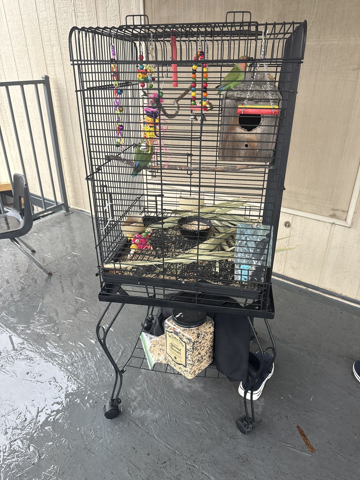 Bird Cage 