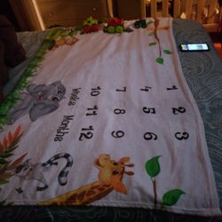Very Beautiful Milestone Blanket 