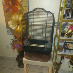Bird Cage 