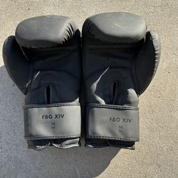FIGHTR FBG XIV 16oz Boxing Gloves – Excellent Condition