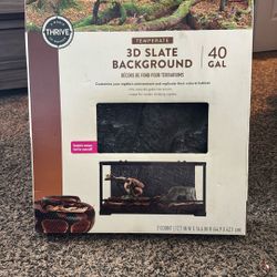 Reptile Background Slate New