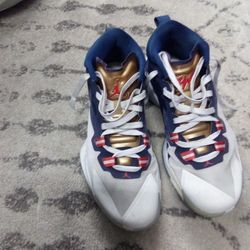 Tenis Jordan Zion.