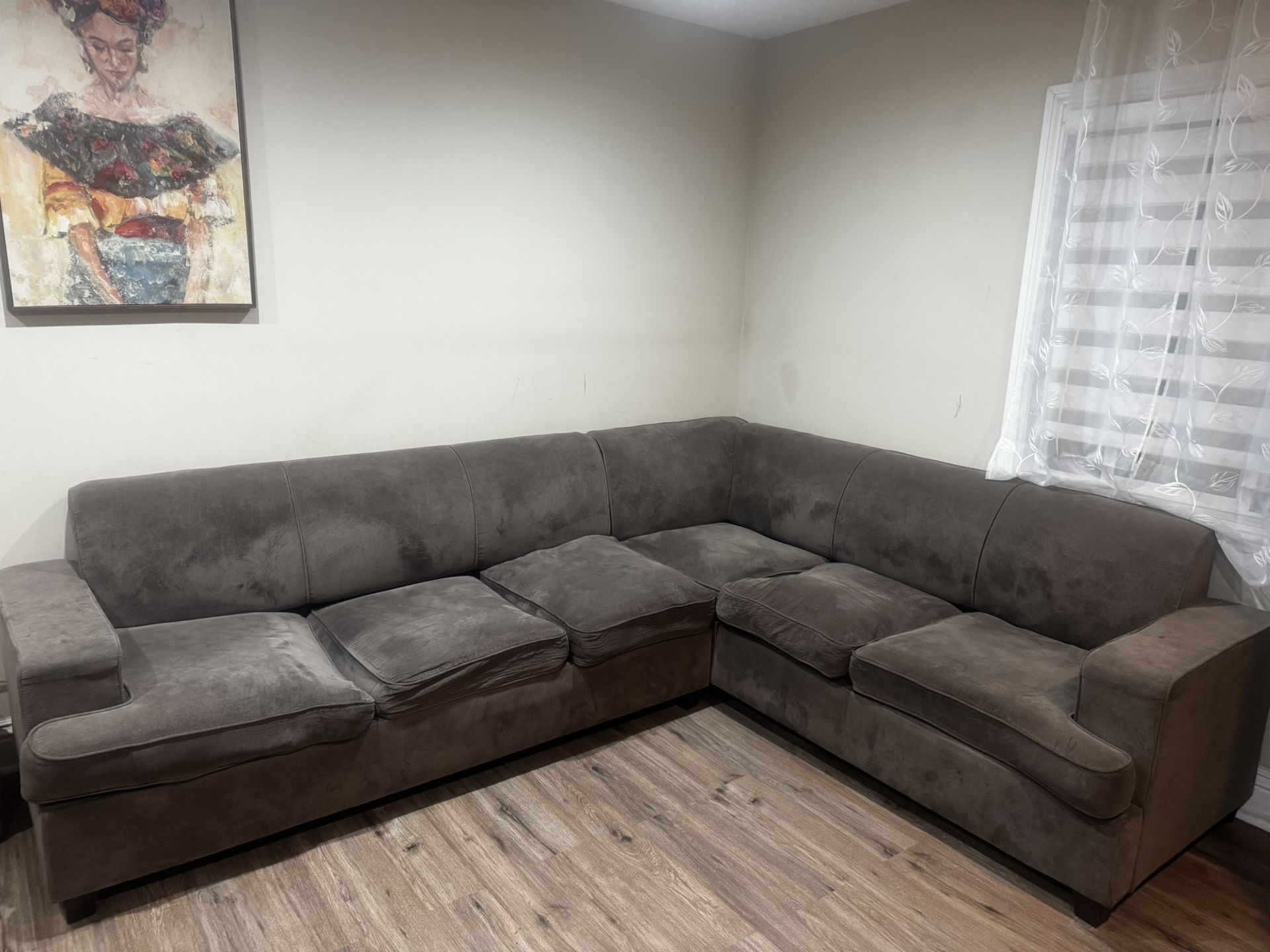 Velvet Couches L Shape