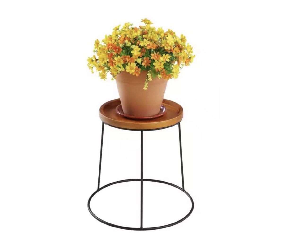 Vigoro 15 in. Wood Top Plant Stand. Plant stand ONLY Multiple available Specifications Dimensions: H 15 in, W 15.75 in, D 15.75 in