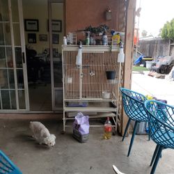 Parrot bird cage extra large.