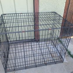 Dog Kennel 