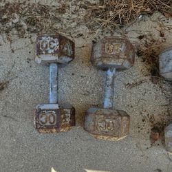 30 Pound Cast Iron Dumbbells 